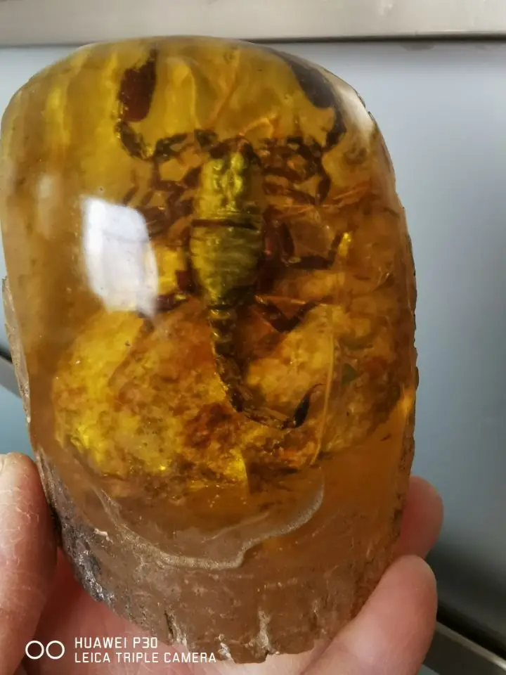 

Редкая декорированная статуэтка скорпиона из имитации янтаря ручной работы, большая.