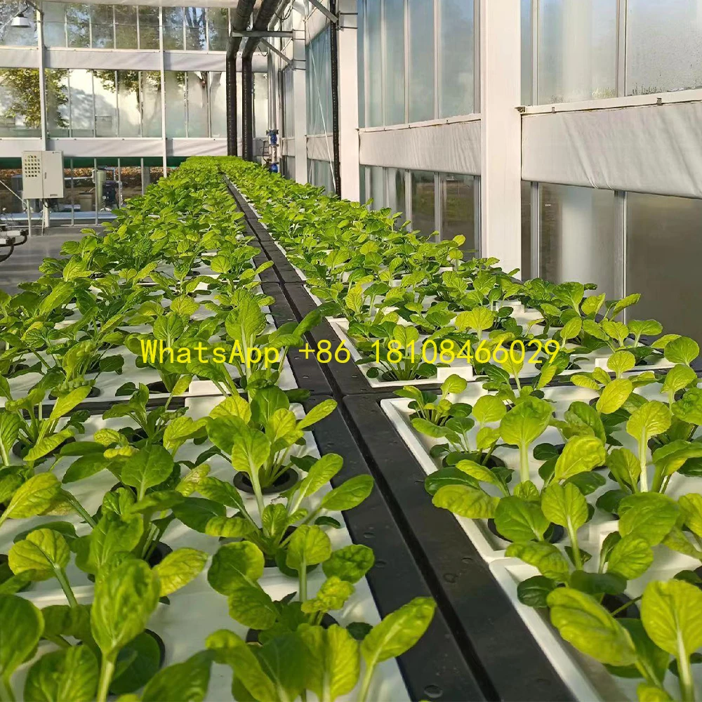 

Planting Intelligent Vegetable Growing Cabinet Automatic Indoor Hydroponic Growing System Vertical Farming Leafy Vegetable