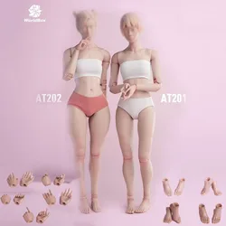 Worldbox AT201 AT202 1/6 Scale Female Flexible Body Normal Fat Leg 12'' White Suntan Skin Action Figure Model Tpys for Woman