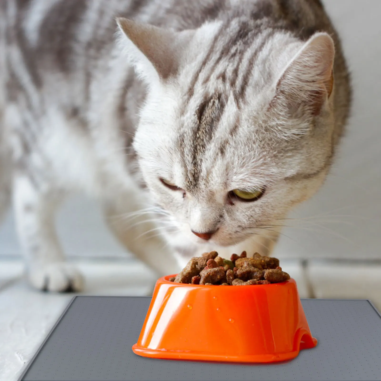 

Waterproof Non-Slip Pet Food Mat Silicone Dog Cat Bowl Placemat Durable Easy Clean Eco-Friendly Feeding Mat For Pets Pet