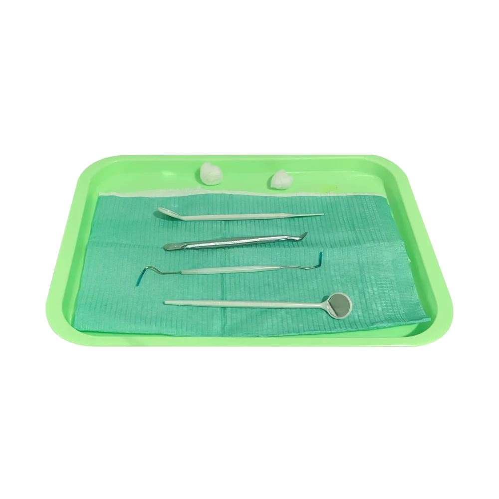 Bandeja profesional de tipo plano para cirugía Dental, almacenamiento de instrumentos de laboratorio, 1 piezas