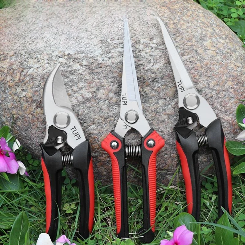 cisailles-de-jardinage-en-acier-inoxydable-sk5-cisailles-pour-la-taille-des-branches-cisailles-pour-la-cueillette-des-fruits-cisailles-pour-la-coupe-florale-cisailles-de-jardinage-a-usage-domestique