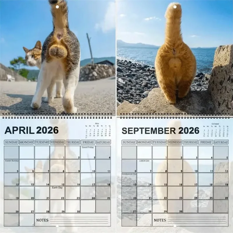 2026 Cat Butt Desk Calendar Funny Countdown Cat Butt Calendar