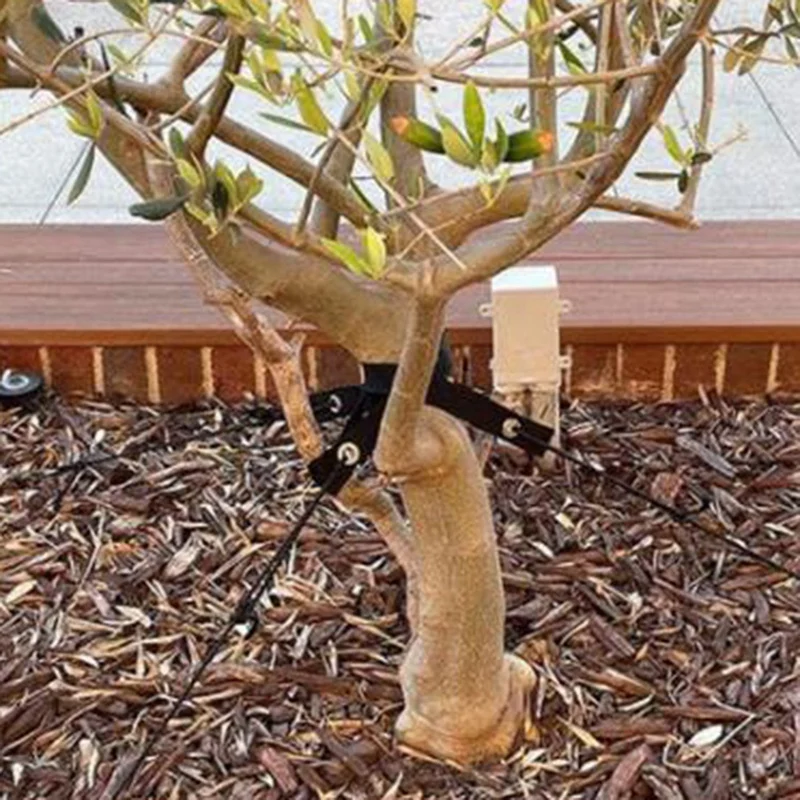 Лучшие-32 шт. 15,74-дюймовые ремни для крепления деревьев с втулкой для крепления/фиксации недавно посаженных саженцев и защиты от урагана