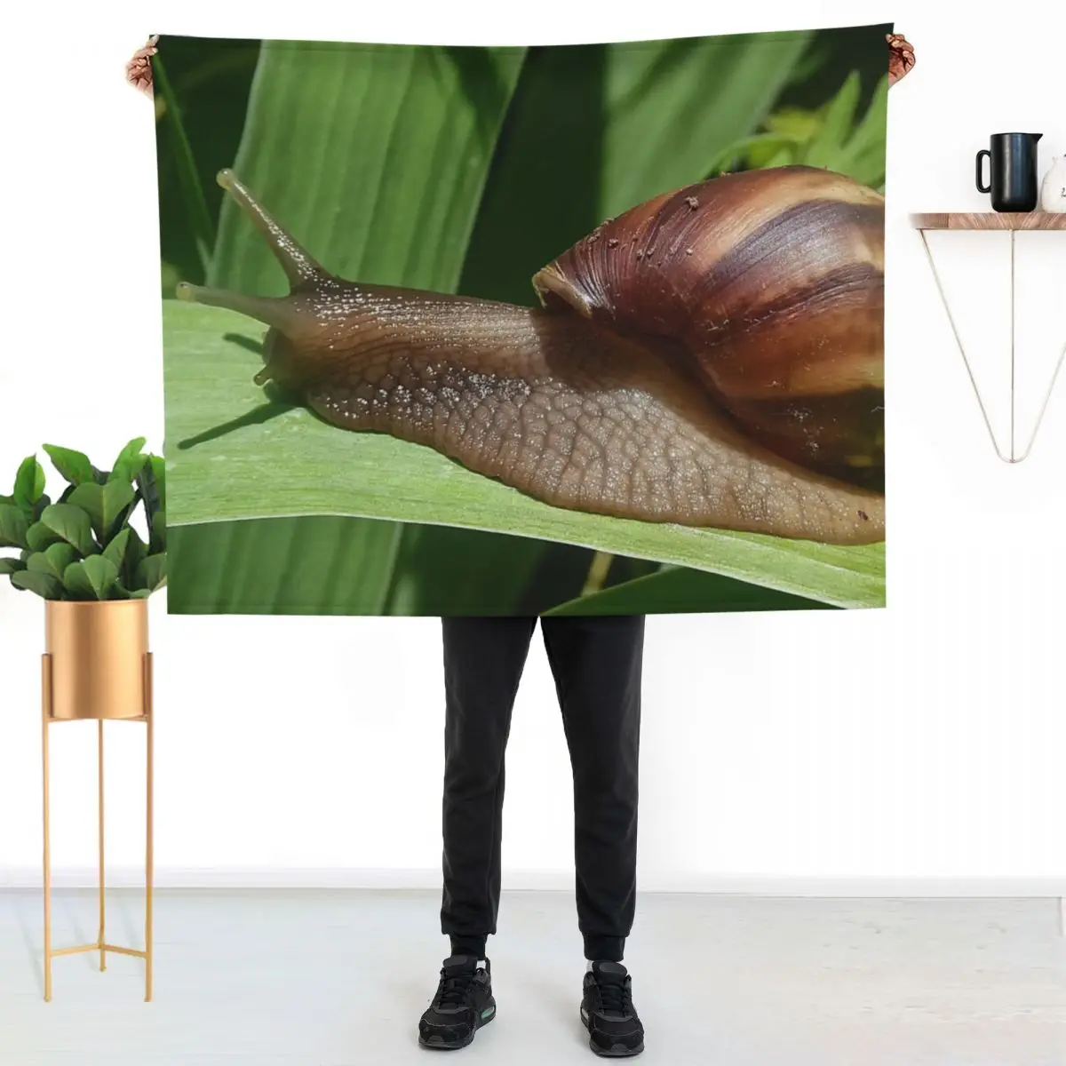 Large Brown Snail Ahatina on Green Leaf - Funny Science Biology Gift Throw Blanket Lightweight Warm Blanket for Travel Camping