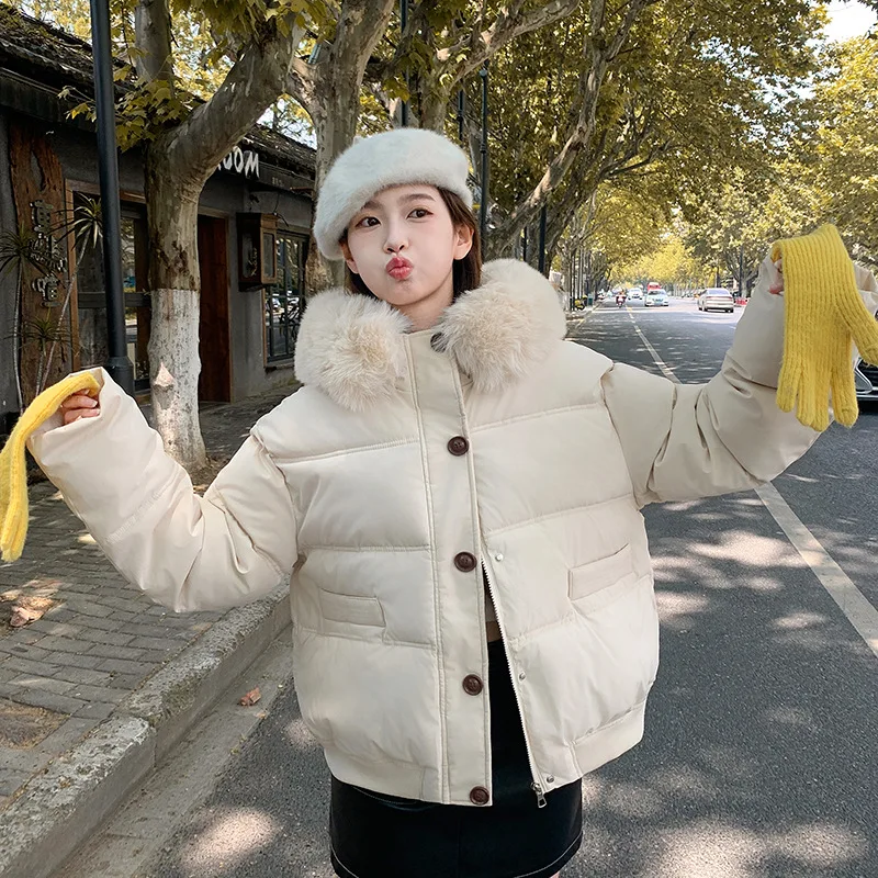 Winter 2025 Korean Version of Cotton-padded Jacket Women's Loose Casual Short Thick Cotton-padded Jacket with Large Fur Collar