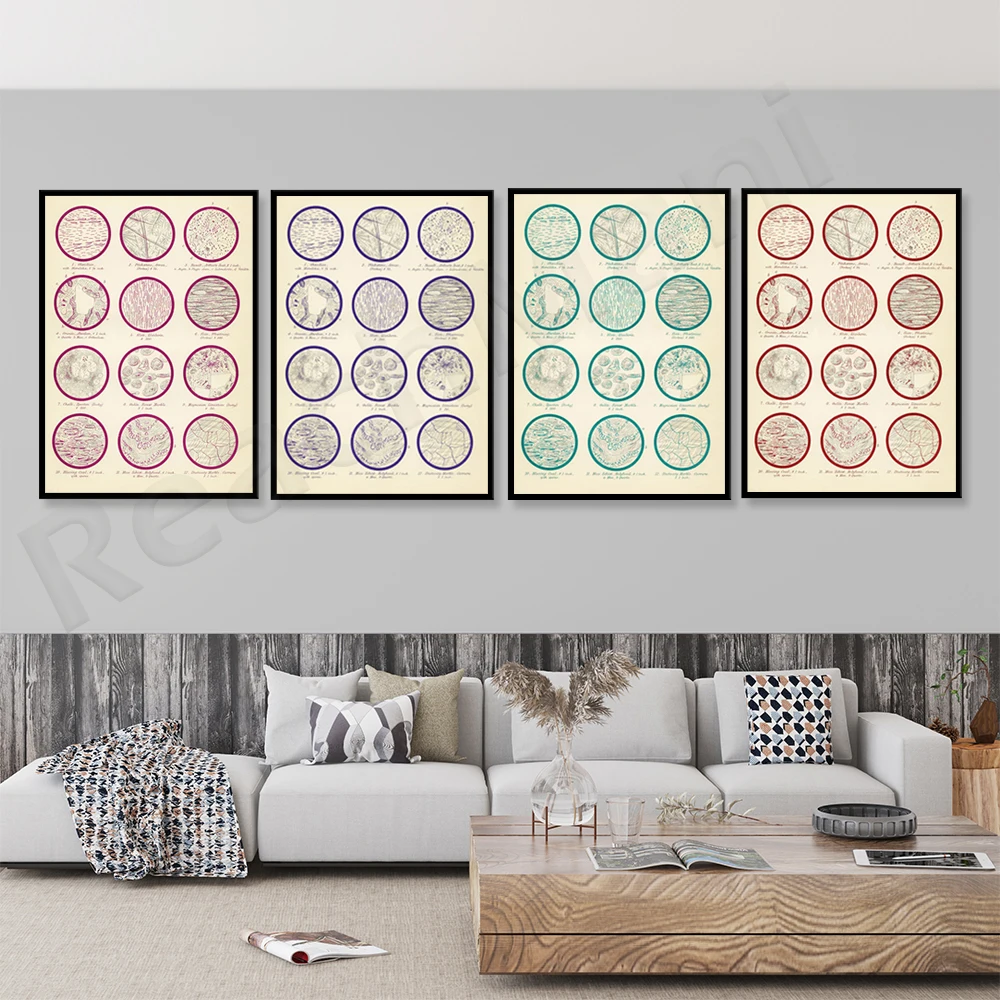 Geology Prints - Antique Reproductions - Rock Samples Under Microscope - Vintage Wall Art Deco Posters