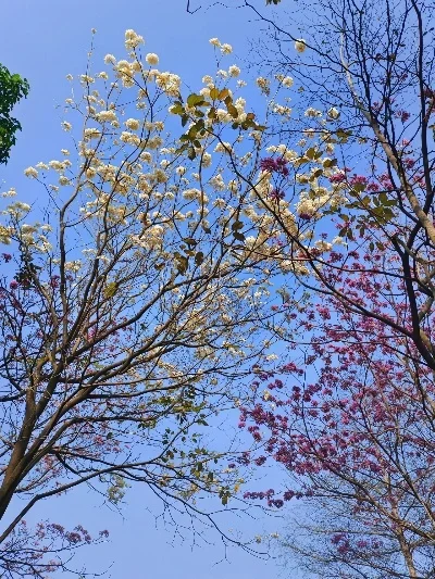 

Metal Upgrade Rear Axle Assembly For WLtoys 12428 12423 12427 12428-A 12428-B 12428-C FeiYue 1/12 RC Car Parts