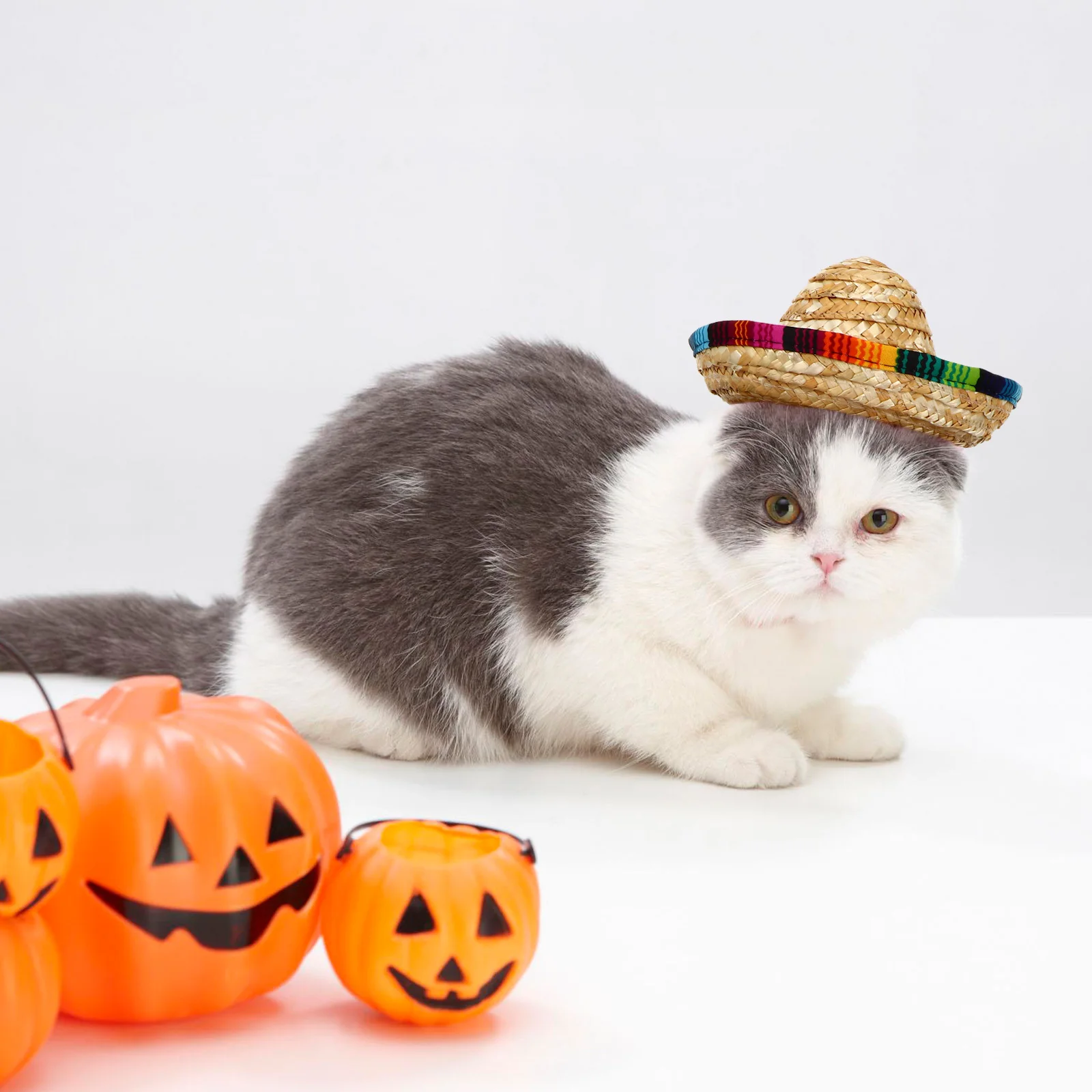 

6Pcs Colorful Sombrero Birthday Party Hats Mini Mexican Festival Hats Decorative Round Caps Party Hat Supplies