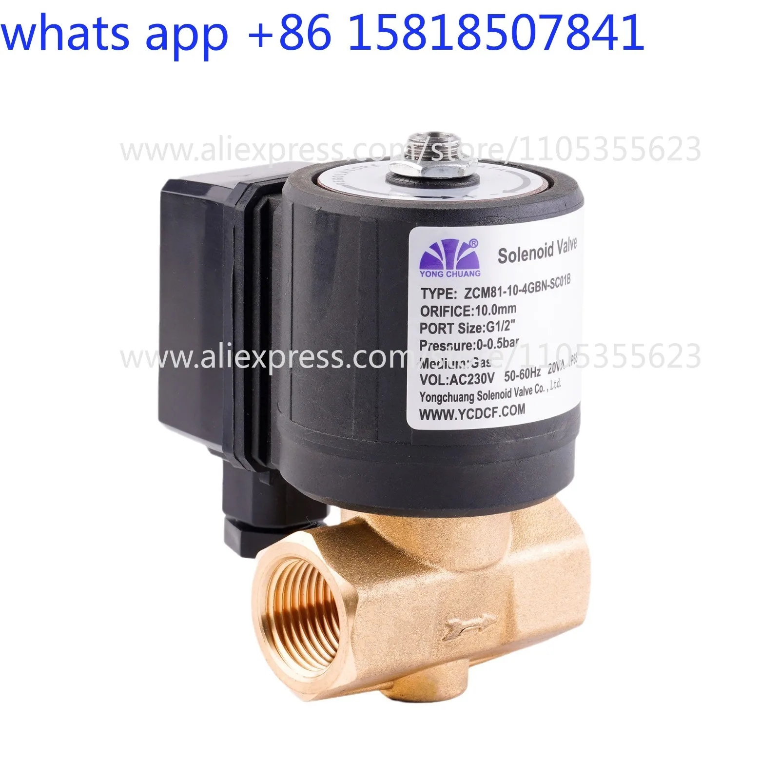 ZCM81 solenoid valve, direct-acting large-flow normally closed solenoid valve, adjustable flow, combustion gas