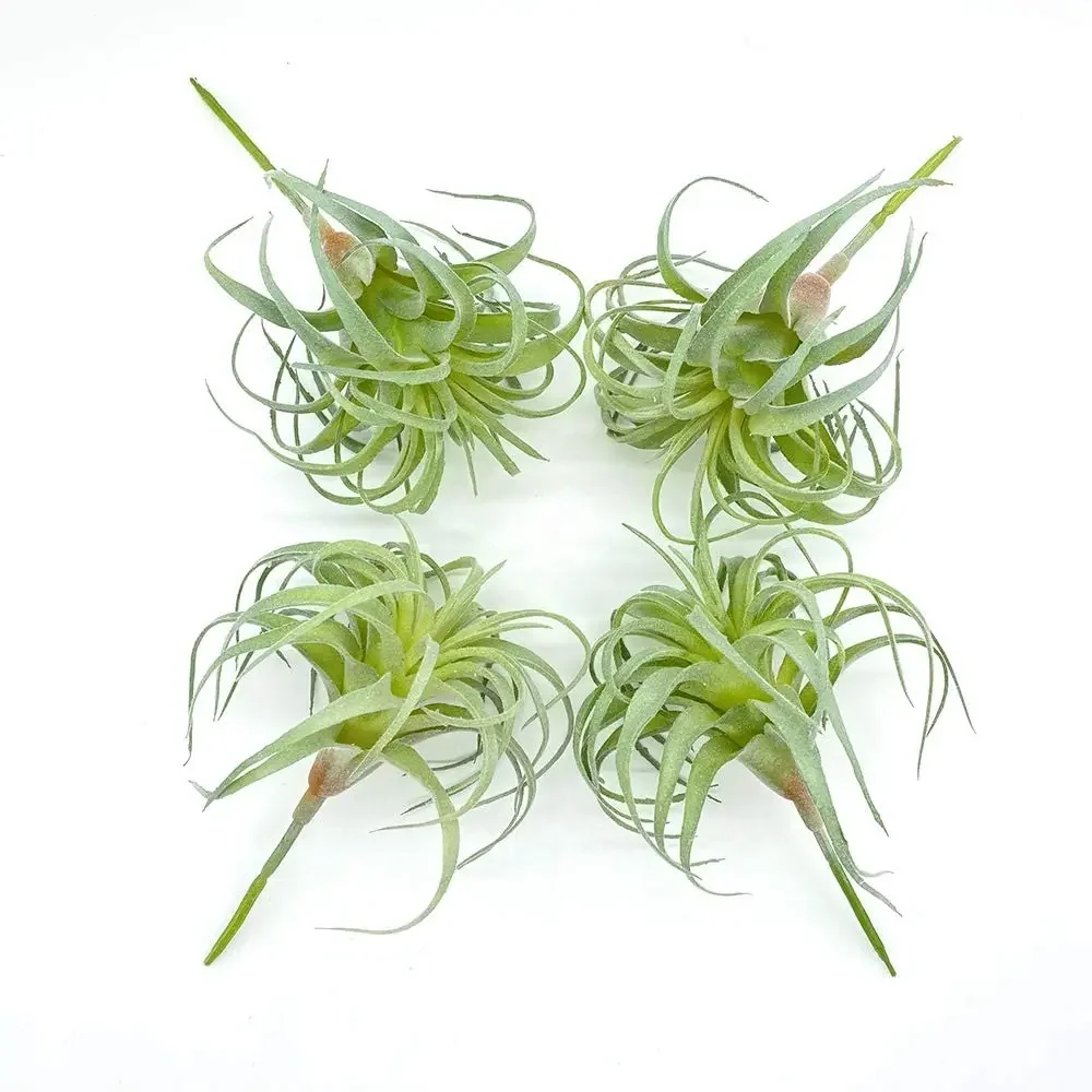4er-Pack künstliche künstliche Luftpflanzen Gras Tillandsia Bromeliads für Heimdekoration Terrarium Projekt Grün – Detail 21