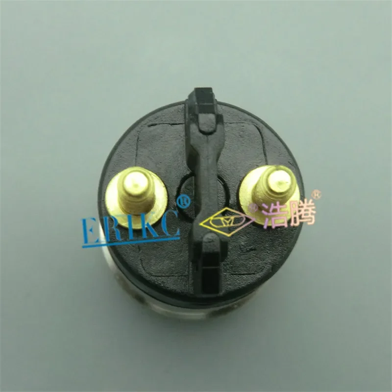 ERIKC F 00R J02 697 حاقن قضيبي مشترك صمام الملف اللولبي F00RJ02697 صمام فوهة الديزل F00R J02 697 لحاقن الوقود