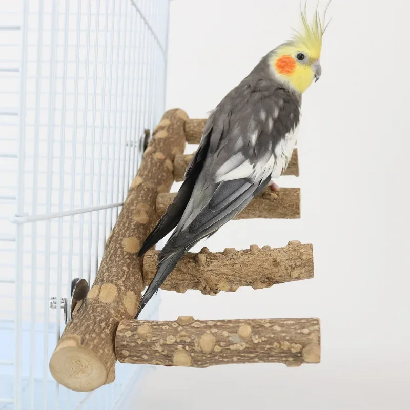 Natural Wood Parrot Bird Perches Bird Stand Paw Grinding Fork Parakeet Climb Stand Branch Ladder Toys Bird Cage Parrot Accessory