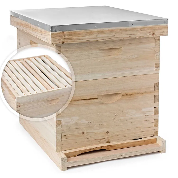 2 Layers 20 Frames Langstroth Honey Bee Hive Box Wooden with Metal Roof for Beekeeping