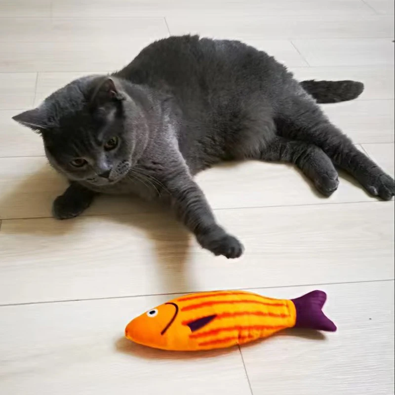 Squeaky Sea Fish Shape Sphynx Cat Toy Catnip peluche peluche per gatti Gotas Kitten Kedi Funny mascotas Play accessori