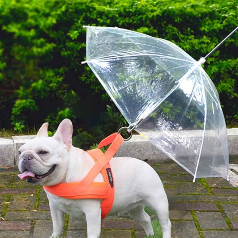 Dog Umbrella for Small to Dog Pet Umbrella with Leash for Rain or Day Outdoor Walking Body Protections X3UC