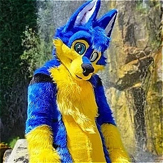 Fursuit Black Yellow Husky Fox Dog  Mascot Costume Customize Cartoon Anime Theme Character Adults Outfit Christmas