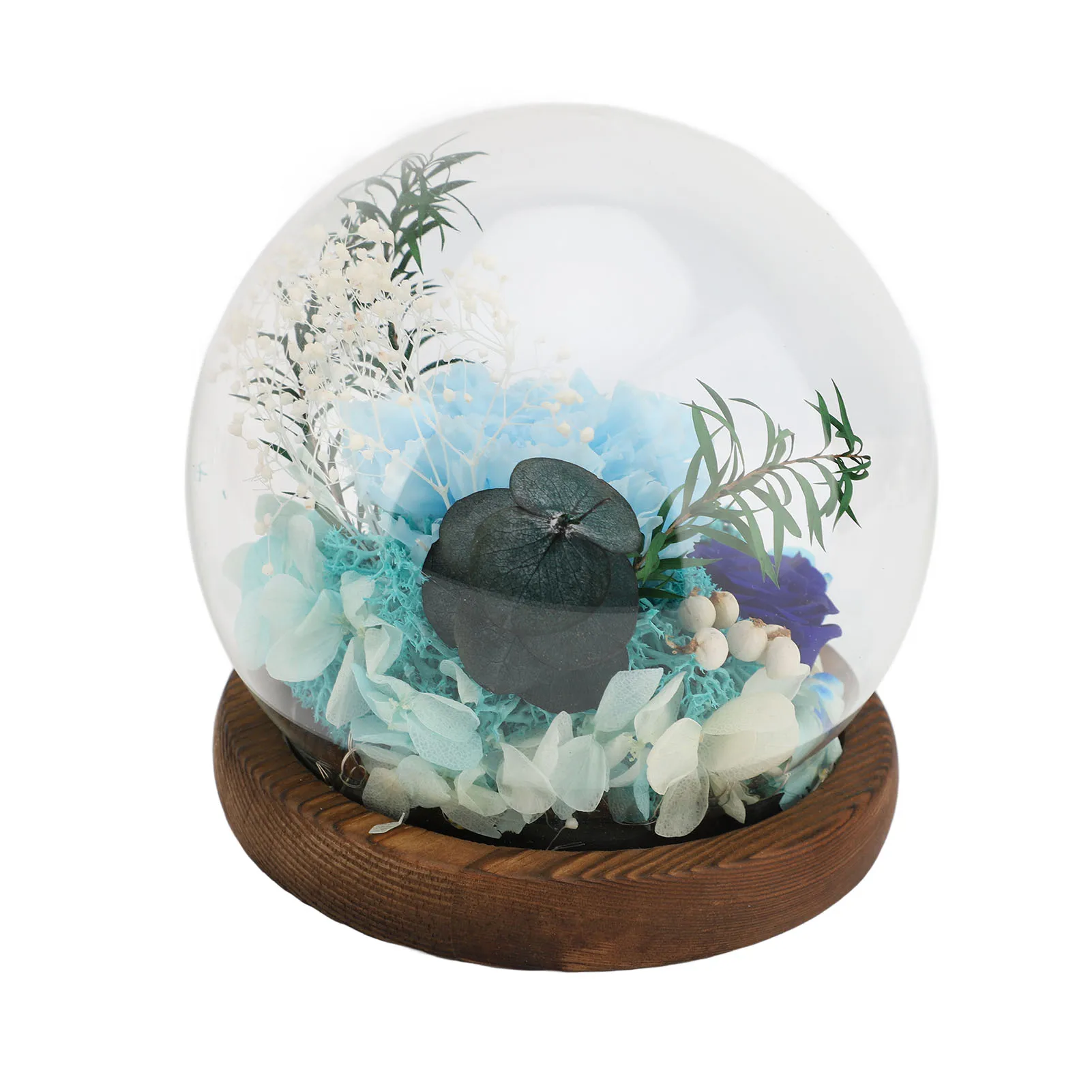Eternal Flower in Glass Dome Exquisite Romantic LED Light Up Preserved Flower in Glass Dome
