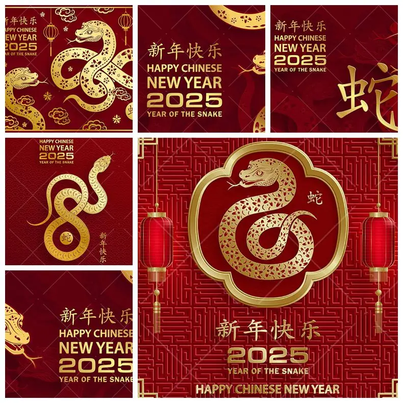 2025 Chinese New Year Spring Festival Backdrop Dragon Year Snake Celebration Family Portrait Party Decor Custom Photo Props