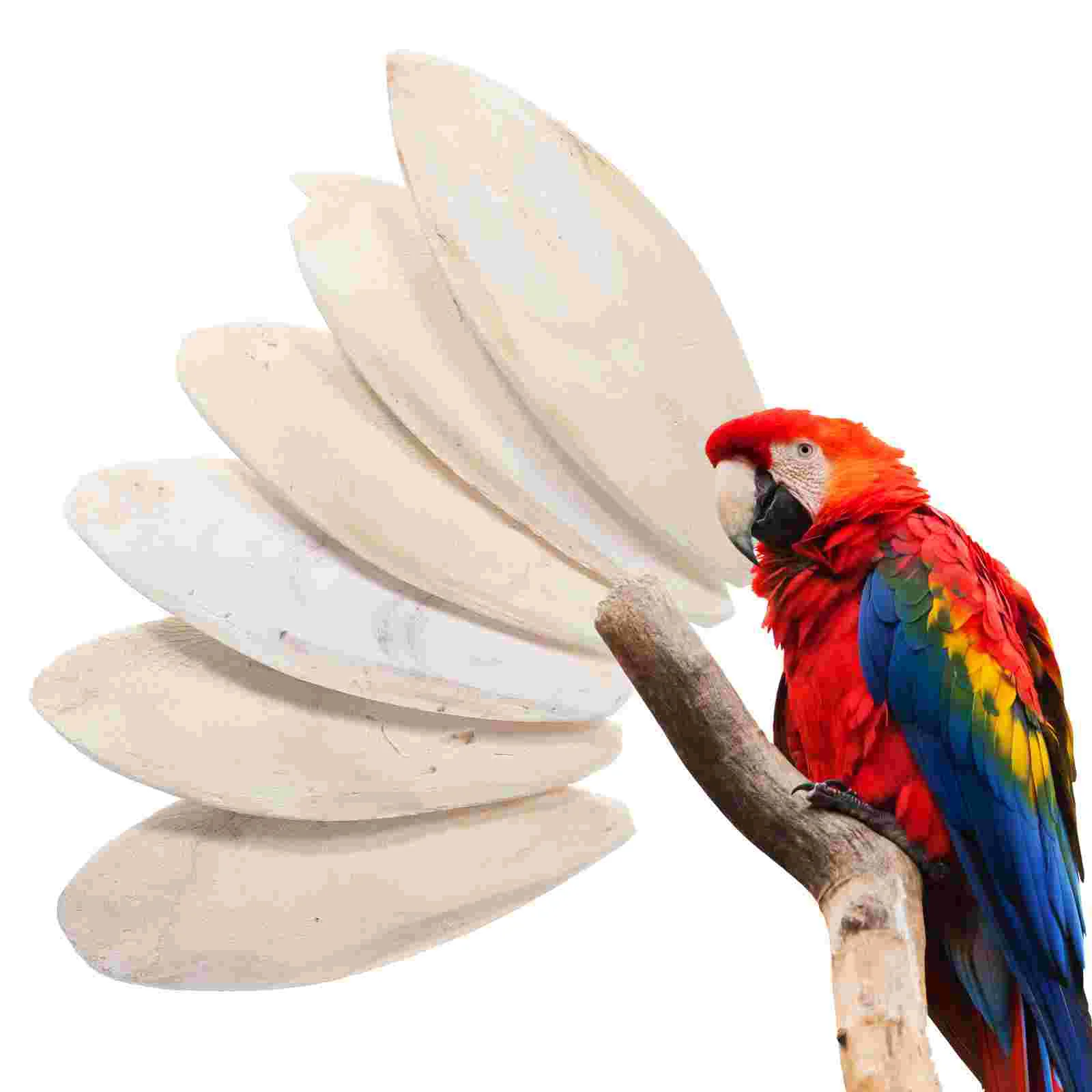 

6 Pcs Cuttlebone Bird Chew Blocks Parrot Cage Toy Cockatoo Toys Foraging Cuttlefish Beak Grinder Pet Molar Bite Birds