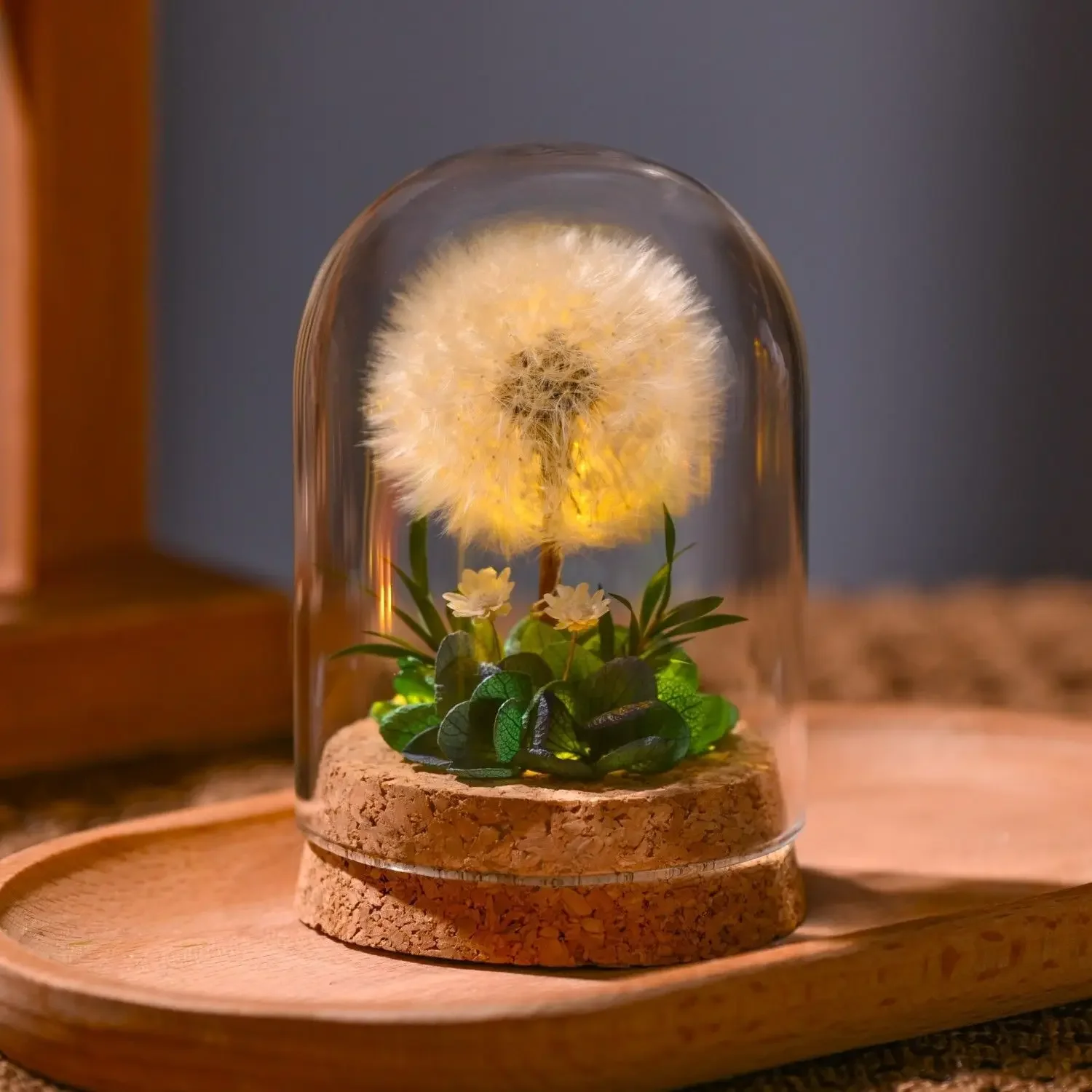 

Night light immortal dried flowers, dandelion glass cover, tabletop ornament, gift