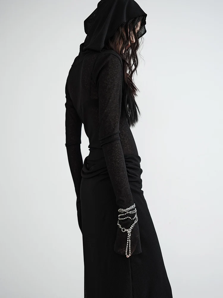 [EAM] Women Black Thin Perspective Long Elegant Knitting Dress New Hooded Long Sleeve Fashion Tide Spring Autumn 2024 1DH7218