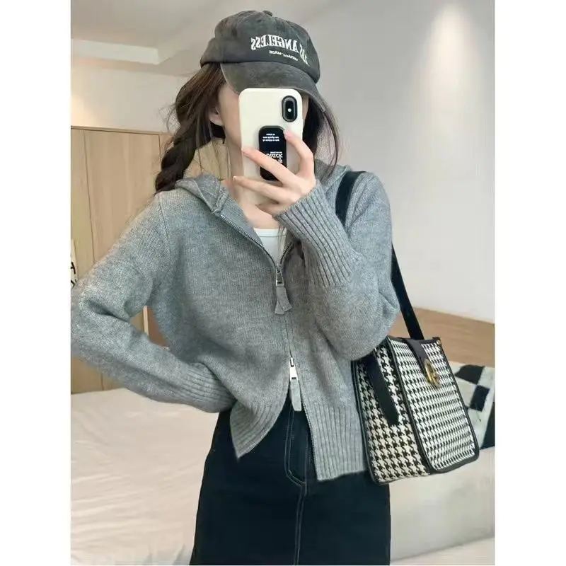 Autumn Winter Pink Knitted Cardigan Hooded Zipper Jackets Sweaters Short Tops Streetwear Design Trend Coats Loose Lazy Coat New