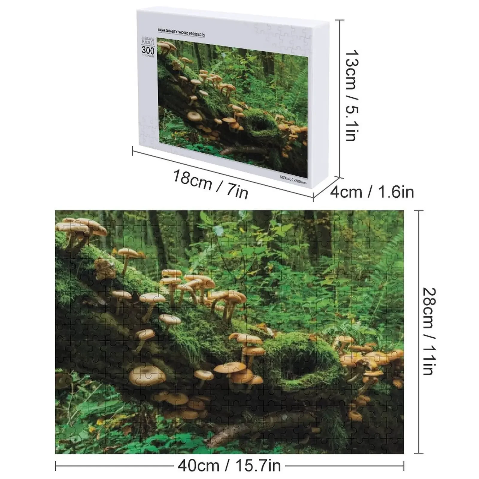 Bialowieza Funghi della foresta Jigsaw Puzzle Decorazioni in legno Dipinti Puzzle personalizzato
