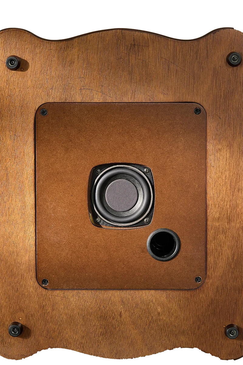 

Hooqu 12-Inch Classical Vinyl Phonograph With USB Output & Recording Feature Alloy Metal Horn For Audio & Video Accessories