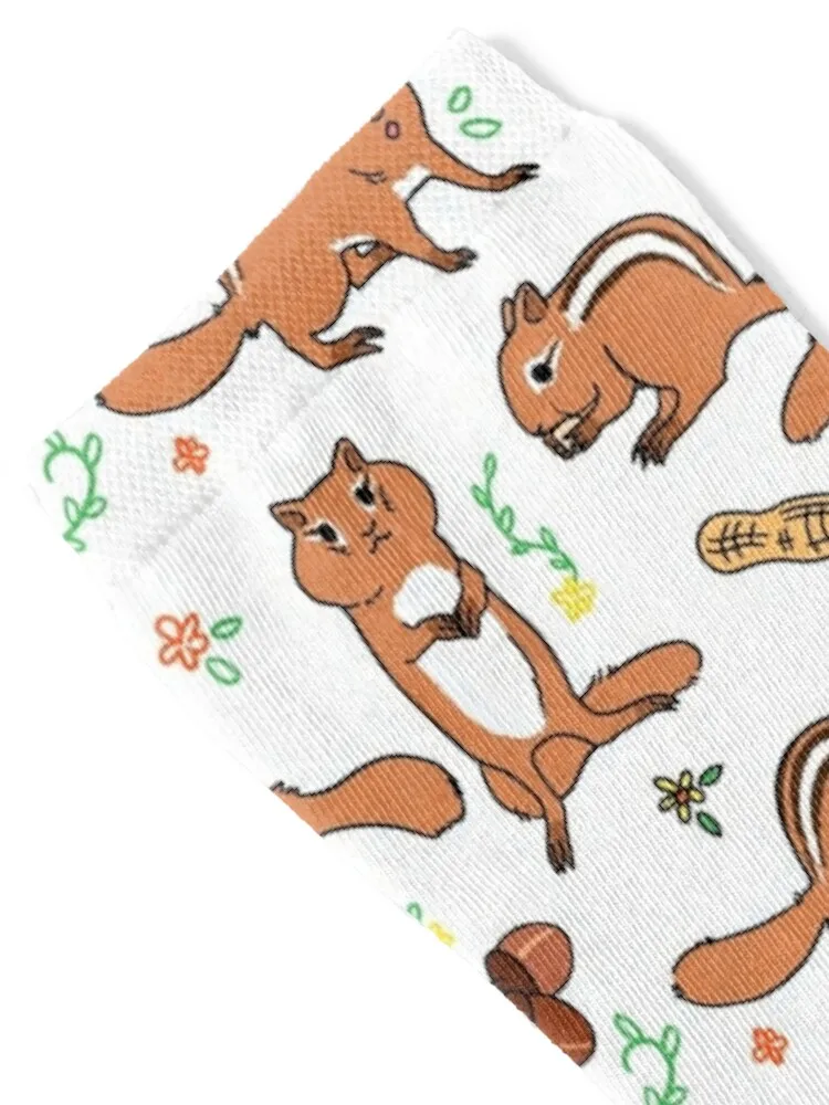 chipmunks Socks valentine gift ideas compression funny sock men cotton high quality Girl'S Socks Men's