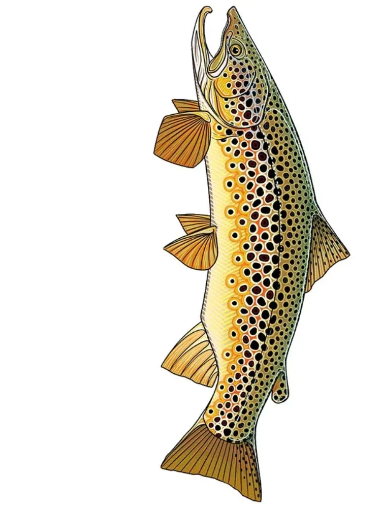 Car Stickers Wild Brown Trout Caravan Accessories Personality Sticker Products Exterior Parts PVC Stylish Decoration image 4