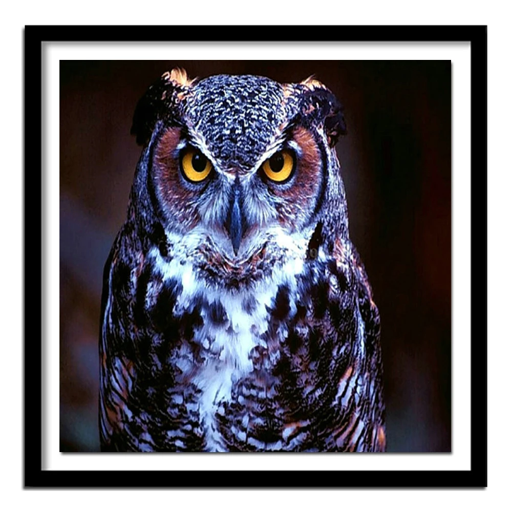 Diy Diamond Painting Animal Full Diamond Cross Stitch Crystal Square Diamond Set Unfinish Decorative Diamond Embroidery Owl 651