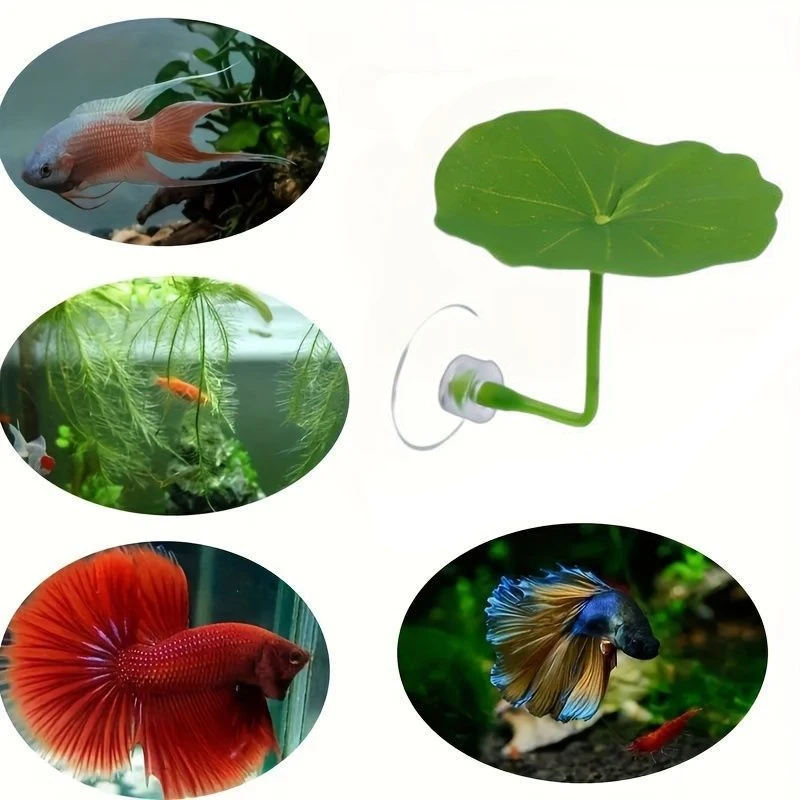 Thumbnail 2 - #30 Best Decorative Aquarium Plants to Buy In 2026