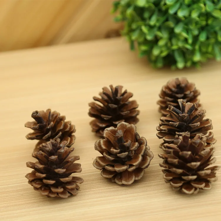 100 Pcs Fine Quality Wooden Pine Cone Xmas Decor Assorted Color Home Office Store Decorative Mini Pine Cone