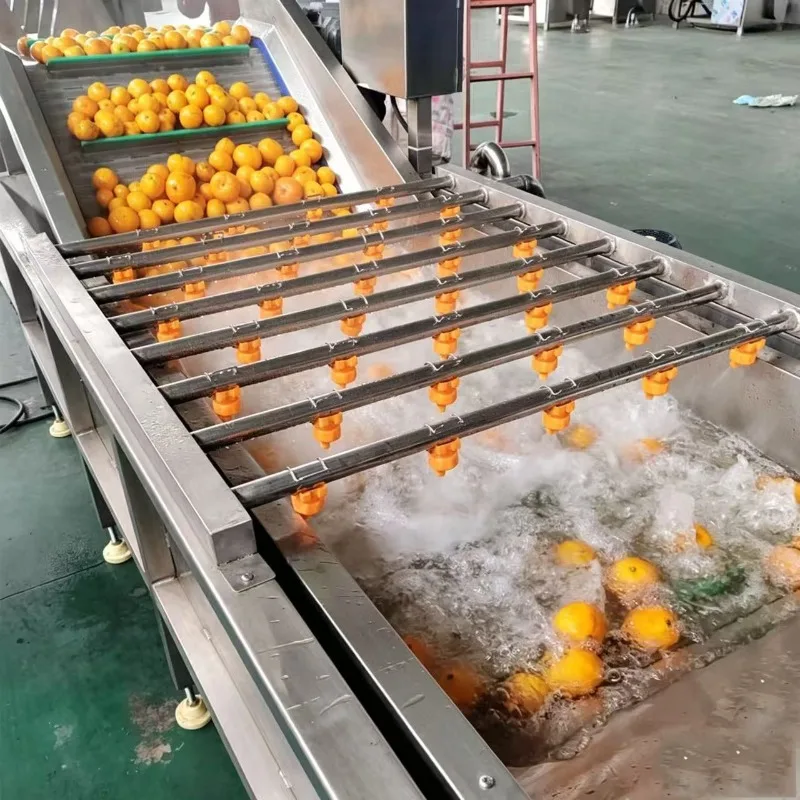 1500kg/h Tomato Washing Process Line Leaf Veegetables Cabbage air Bubble Washing Machine Beans Grain  Fruit Cleaning Machine