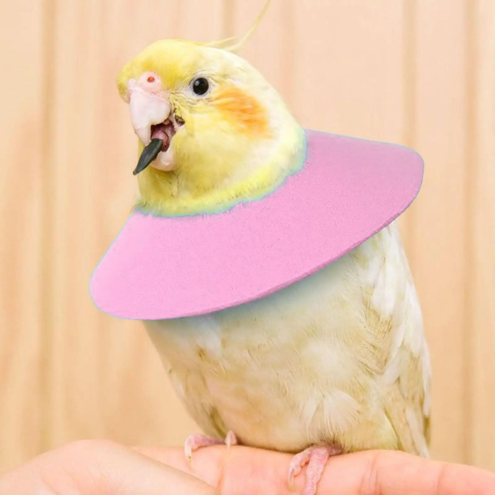 Bird Cone Collar Soft Cat Recovery Neck Cone Collar Small Animals Protective Neckwear For Parrot Daily Travel Bunny Ferret