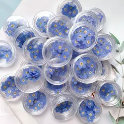 20 PCS DIY Dried Flowers Elegant Beautiful Artificial Forget-Me-Not Simple Creative Pressed Flower Decoration