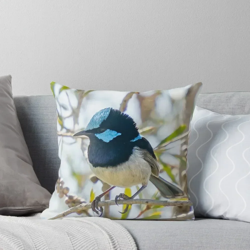 What are you looking at ?! Superb fairy wren portrait Throw Pillow Pillowcases For Pillows Pillowcases pillow