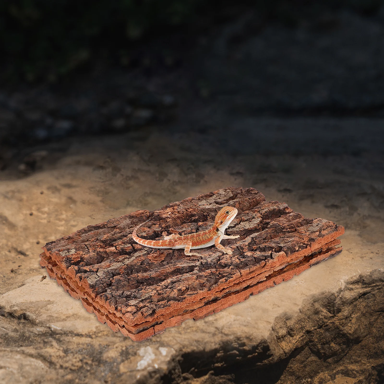 

3Pcs Bark Platform for Reptiles Natural Terrarium Background Bark Decor Terrarium Background Reptile Platform