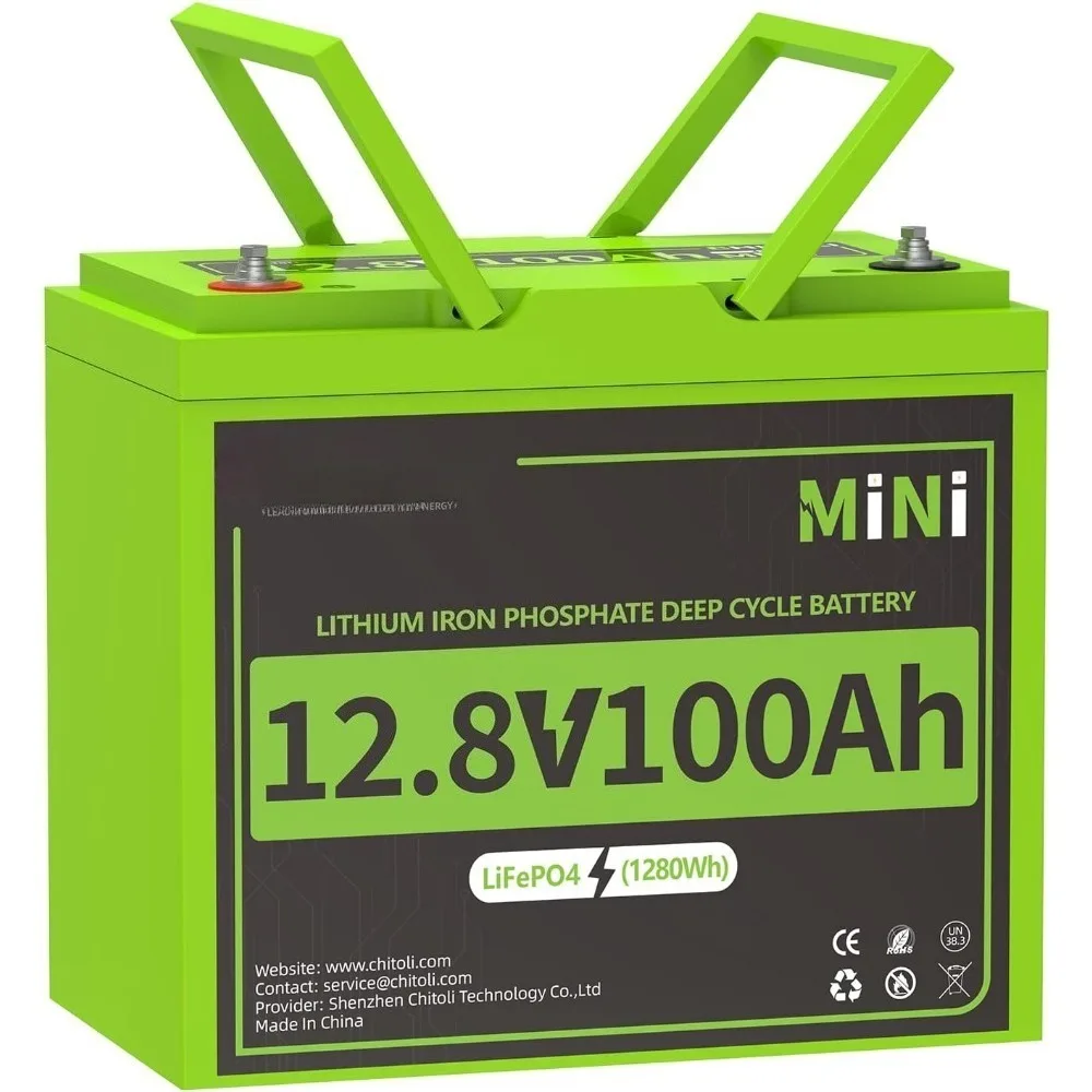 

12V 100Ah Mini LiFePO4 Battery, Smaller than BCI Group 24 Built in100A BMS, 4000-15000 Deep Cycles, 10-year Lifetime for RV