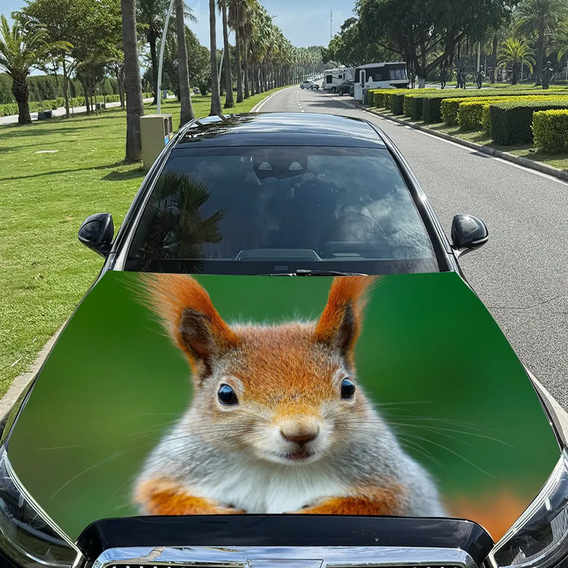Car Decals Cute Squirrel with Alert Expression Car Hood Sticker, Waterproof Self - Adhesive Vinyl Graphics Decals, Decorative Pr
