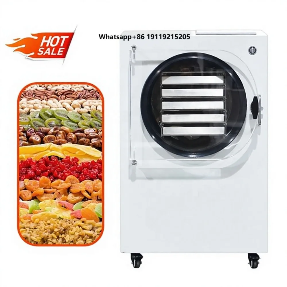 Factory Supply Automatic Food Processing Freeze Drying Equipment for Freeze Dryer Machine Intelligence Touch Screen