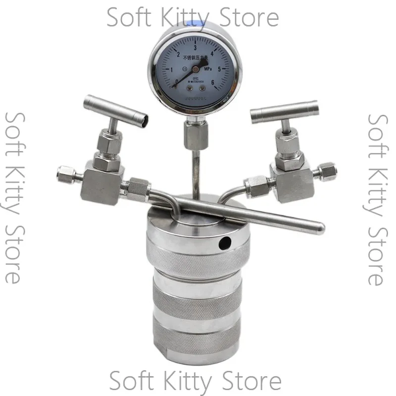 Hydrothermal Synthesis Autoclave Reactor Vessel with Inlet Outlet Gauge 25/50/100ML 6Mpa