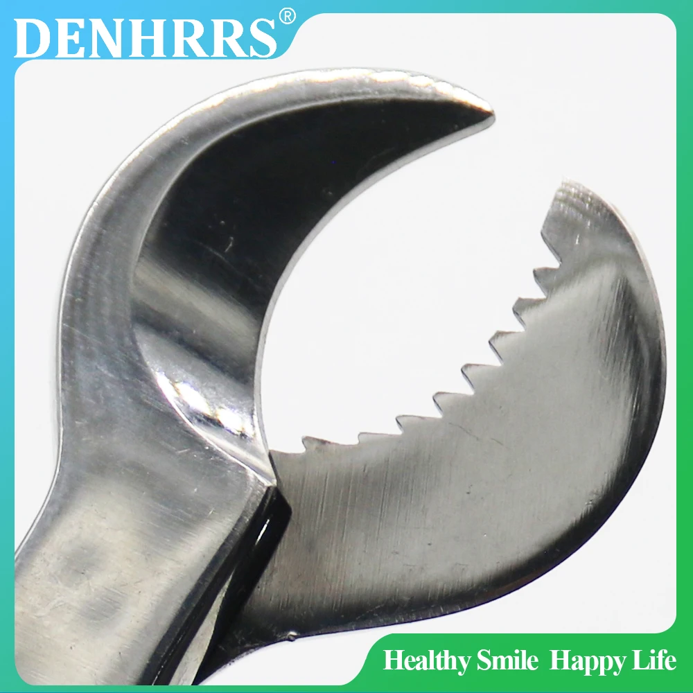 Dental Stainless Steel Plaster Scissors Gypsum Scissors Dentistry Material Plaster Cutter（DENHRRS IM Store）