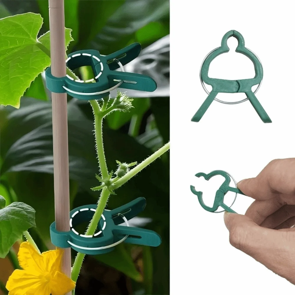 20PCS Plastic Plant Support Clips Gentle Grip Spring Loaded Garden Fixing Clips Easy to Open One Hand Use Plant Securing Clamps