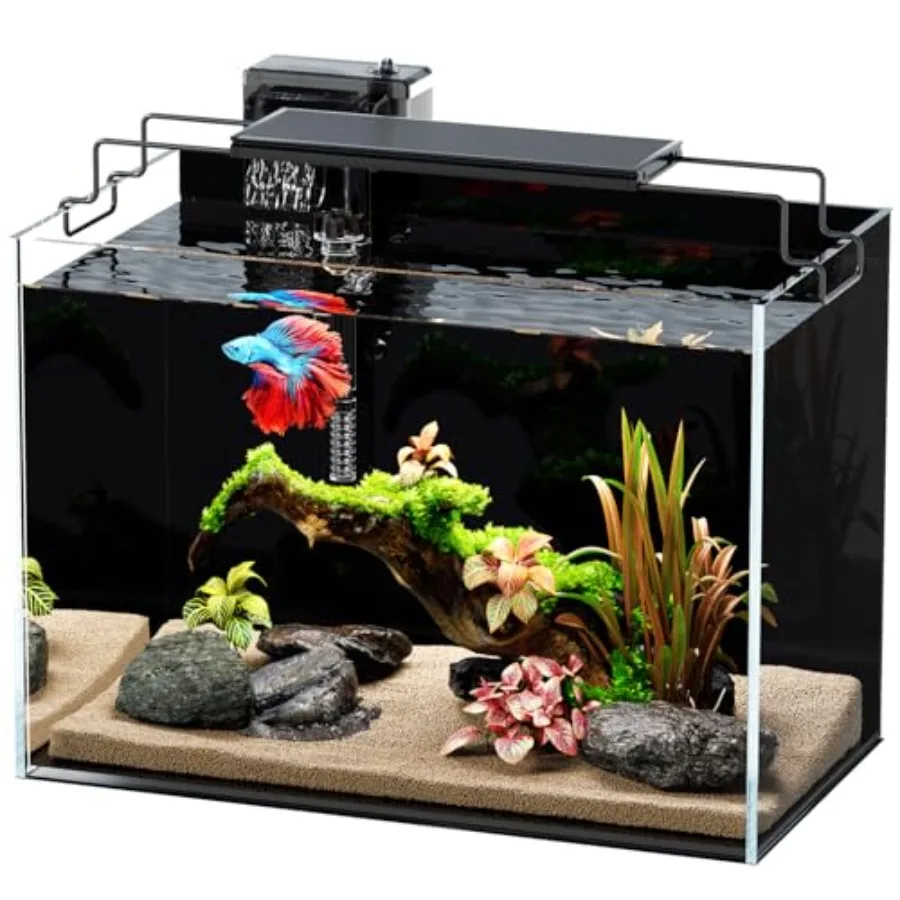 5 Gallon Rimless Aquarium Kit with HOB Filter
