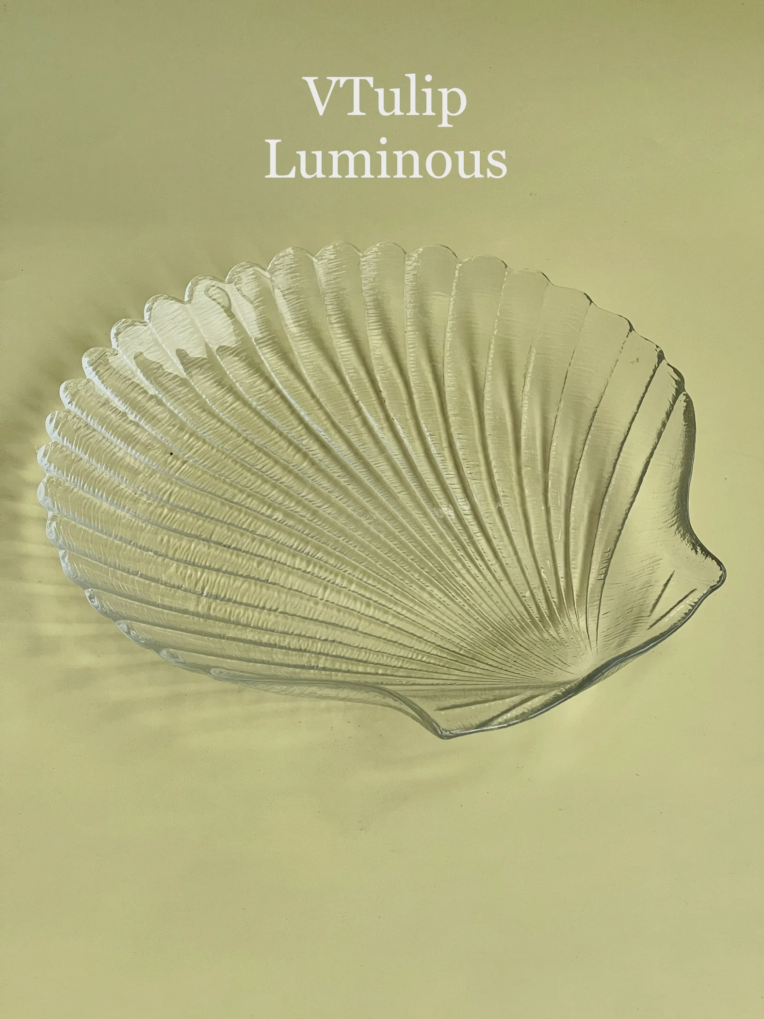 Medieval shell-shaped glass plate, the same style as the fruit ins.