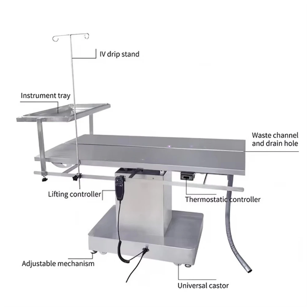 EUR VET High Quality 304 Stainless Steel Hydraulic Electric Ce Certified Veterinary Operating Table for Animal Hospitals