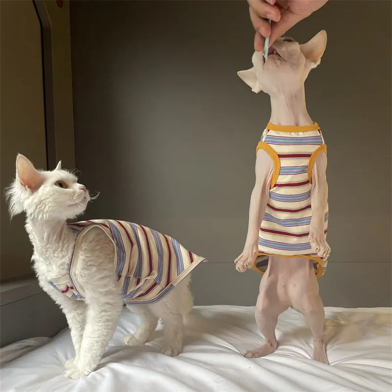 Camiseta de verano para gatos sin pelo - Devon Rex y Sphynx - imagen 3