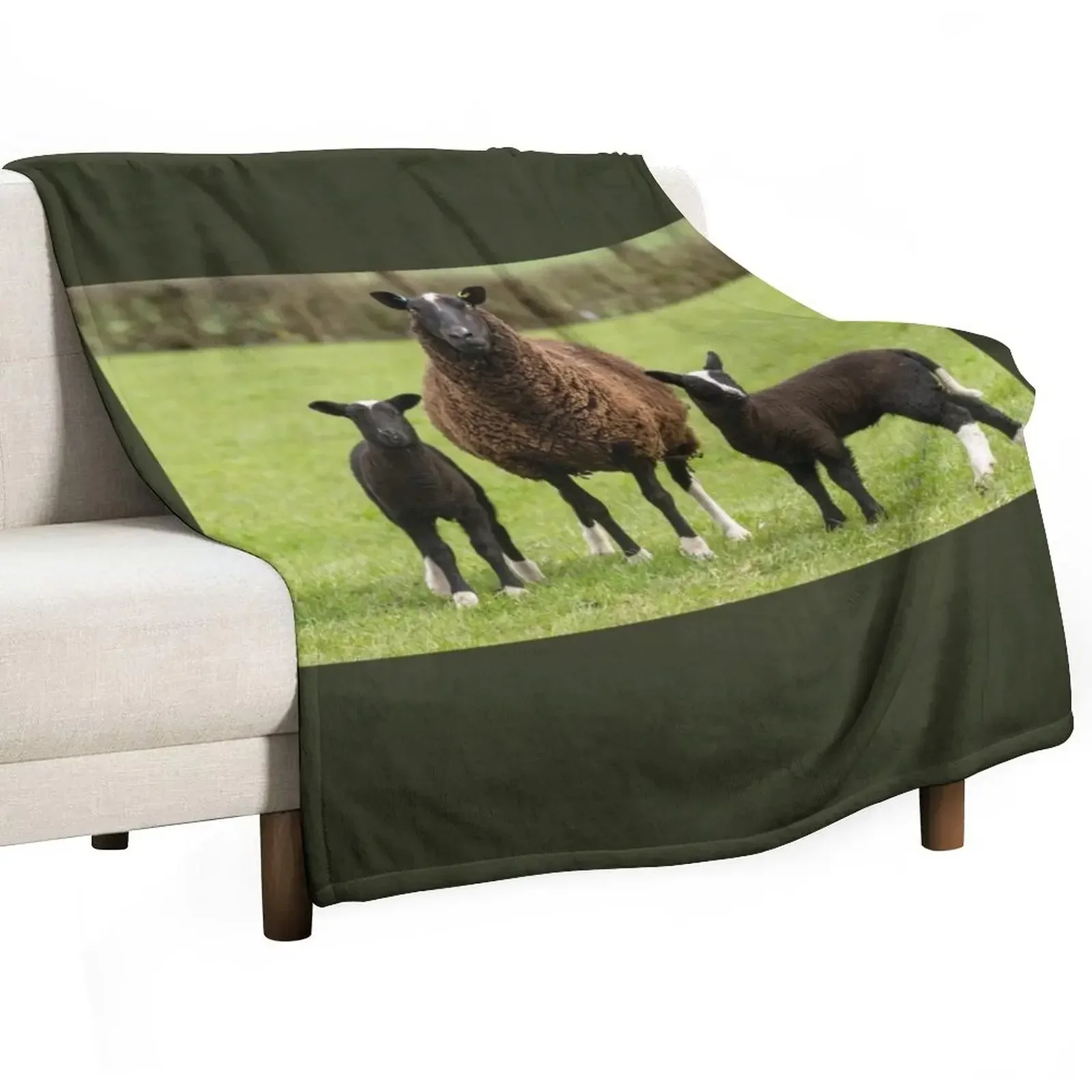 Zwartbles Sheep and Lambs Throw Blanket Bed covers Kid'S Vintage For Decorative Sofa Weighted for winter Blankets